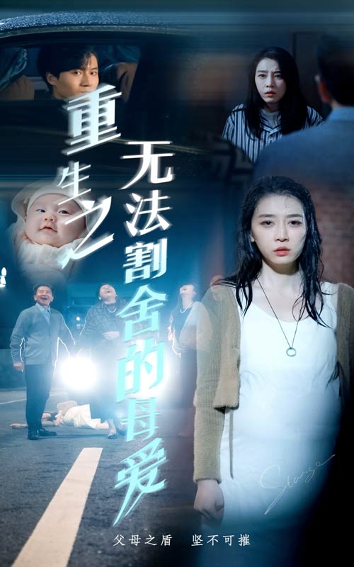 重生之无法割舍的母爱(2024)海报
