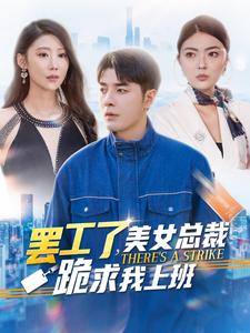 罢工了美女总裁跪求我上班(2024)海报