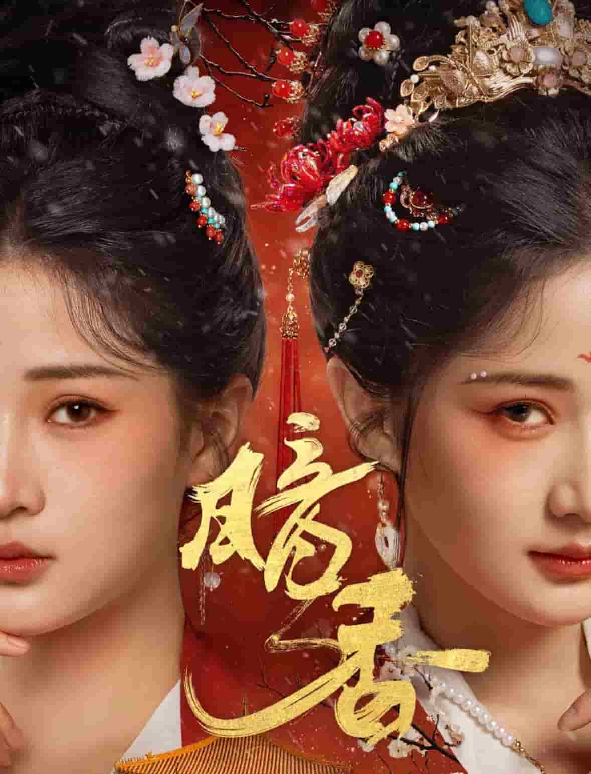 暗香(短剧版)(2025)海报