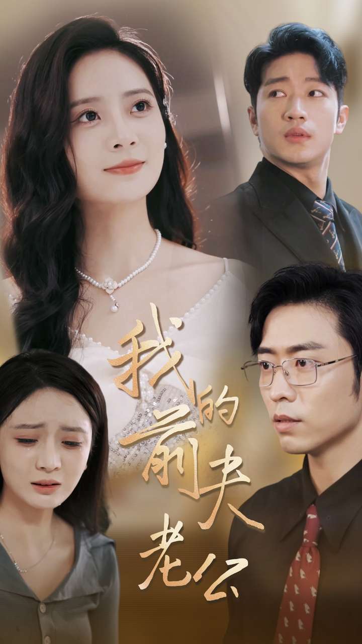我的前夫老公(2024)海报