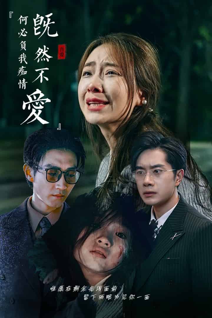 既然不爱何必负我痴情(2024)海报