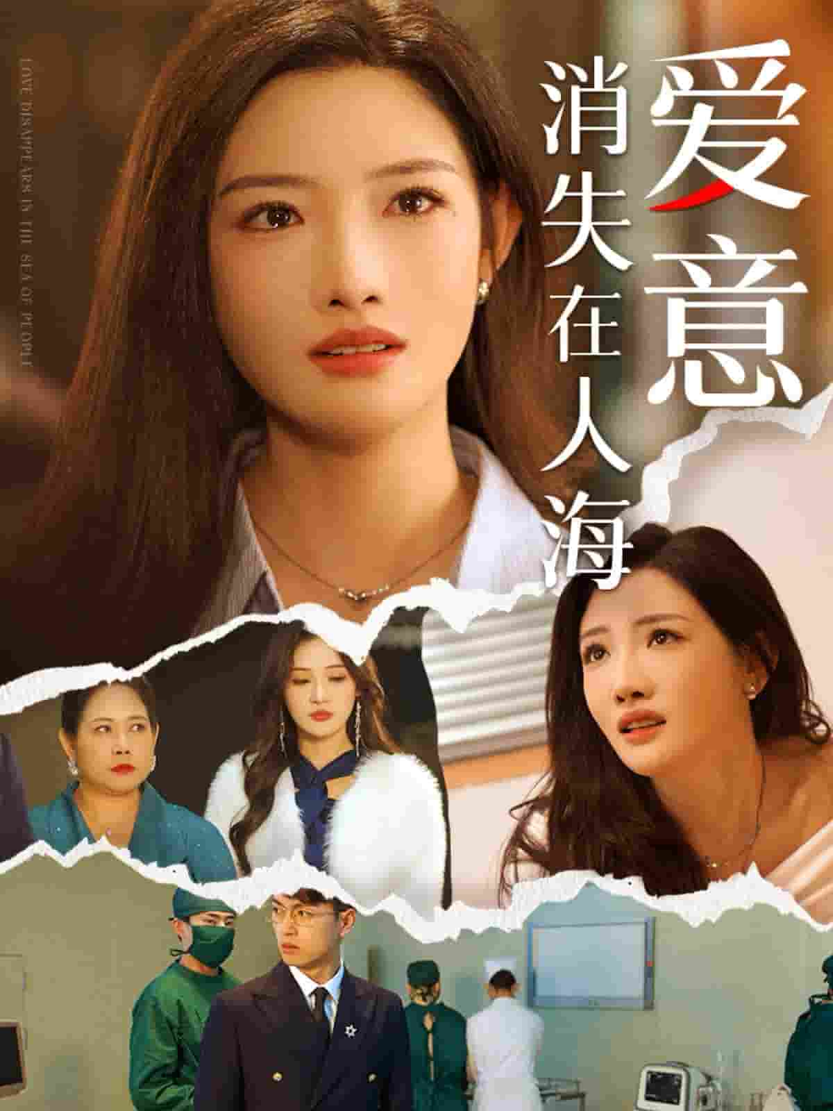 愛意消失在人海(2025)海報