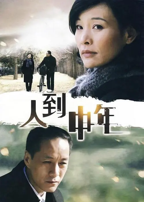 人到中年2009(2009)海报