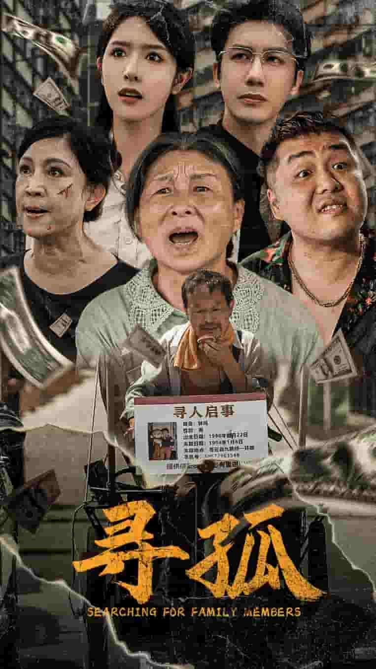 寻孤(2024)海报