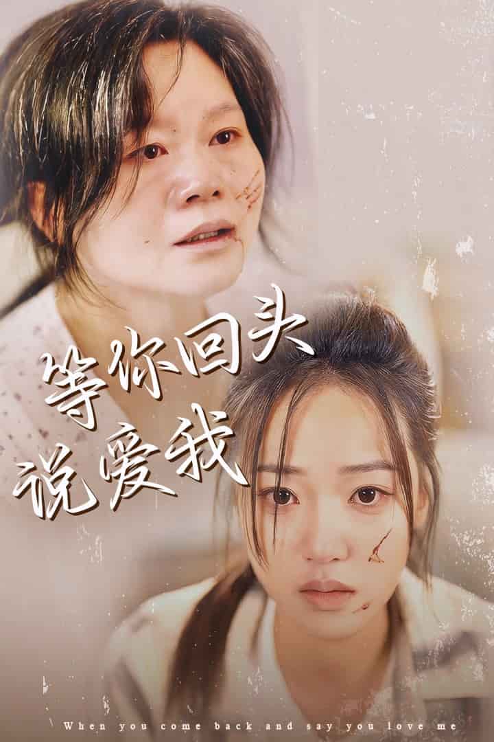 等你回頭說愛我(2024)海報