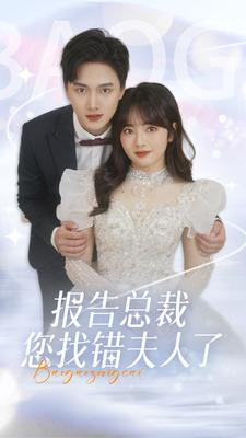 报告总裁您找错夫人了(2024)海报