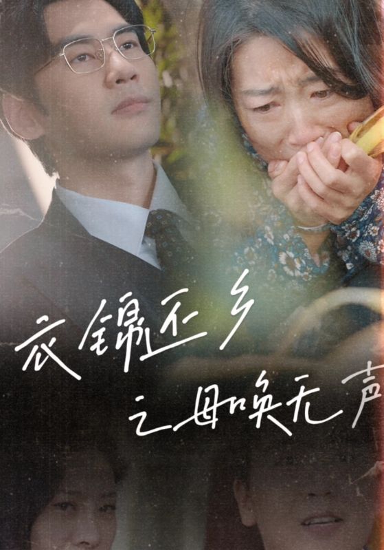 衣锦还乡之母唤无声(2025)海报