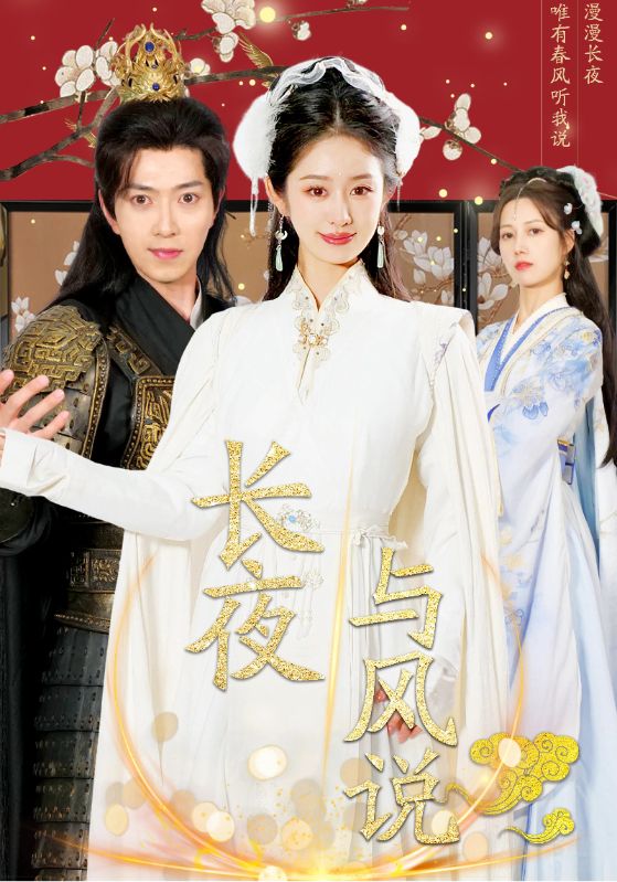长夜与风说(2025)海报