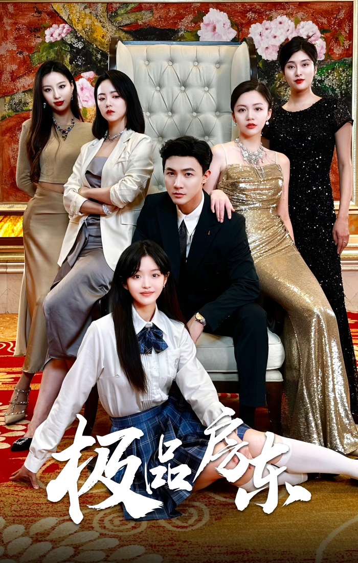 极品房东(2024)海报