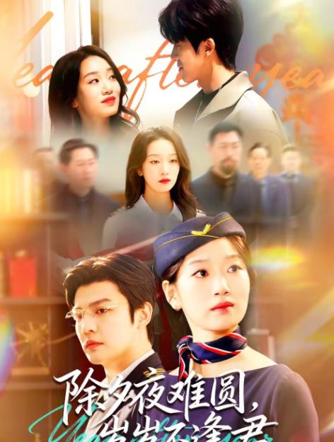 除夕夜難圓,歲歲不逢君(2026)海報