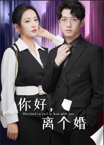 你好,离个婚(2024)海报