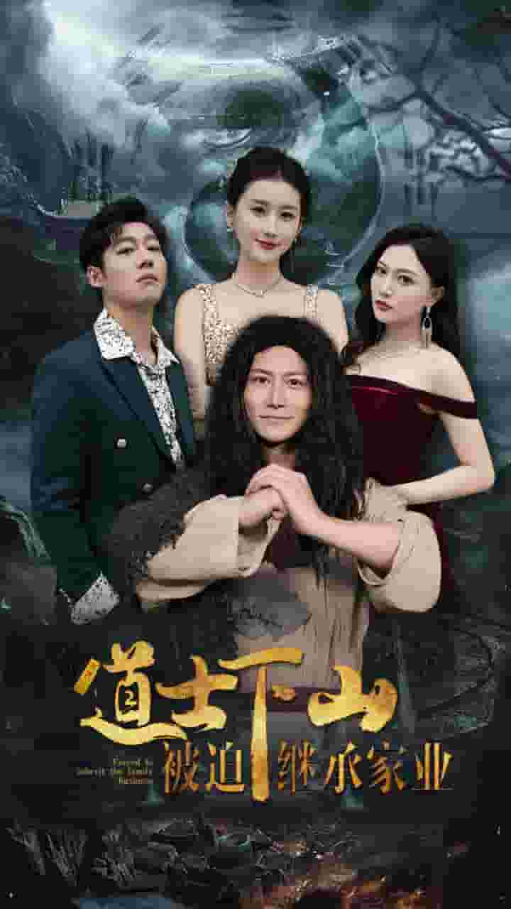 道士下山被迫继承家业(2024)海报