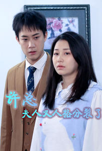 许总,夫人又人格分裂了(2024)海报
