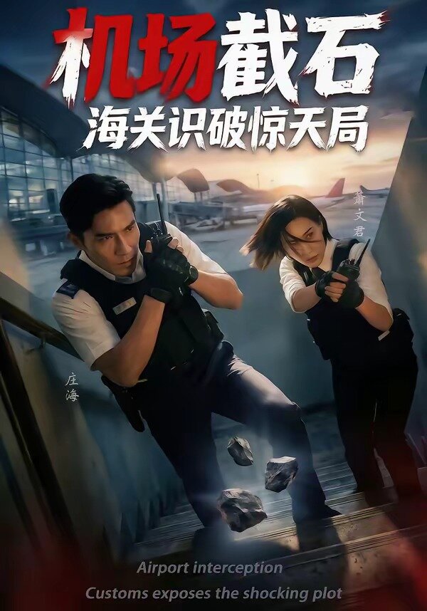 机场截石,海关识破惊天局(2026)海报