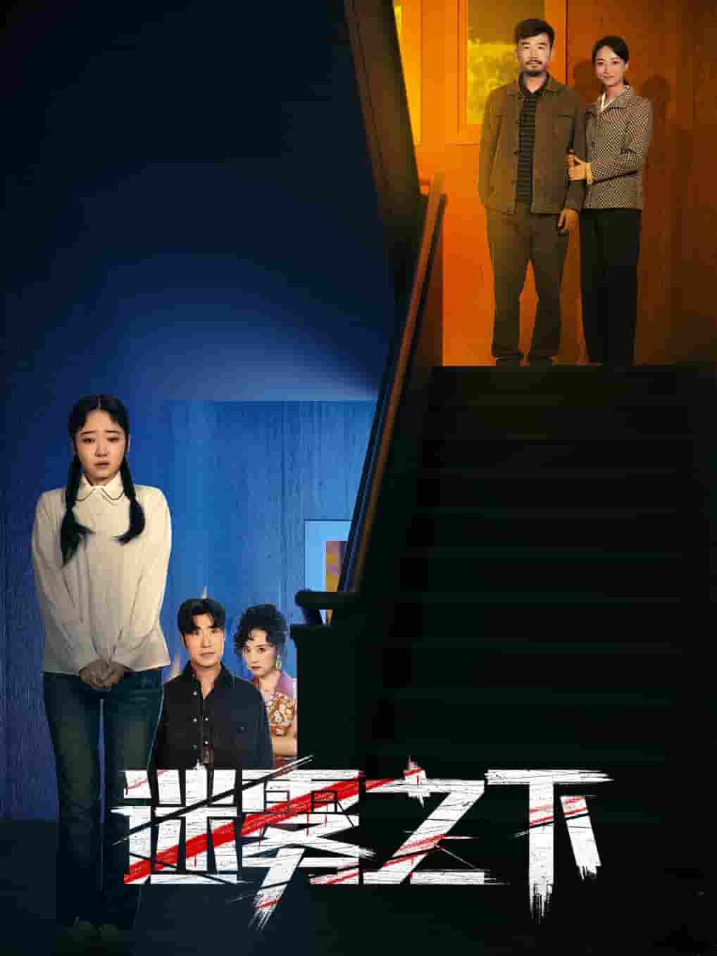 迷雾之下(2025)海报