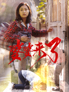 婆婆来了(短剧版)(2025)海报