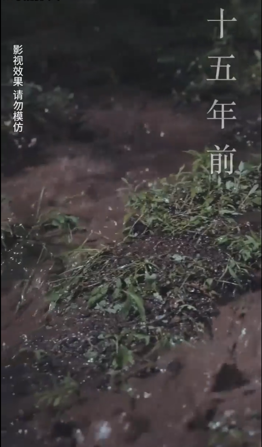 云深见朝阳(2024)海报