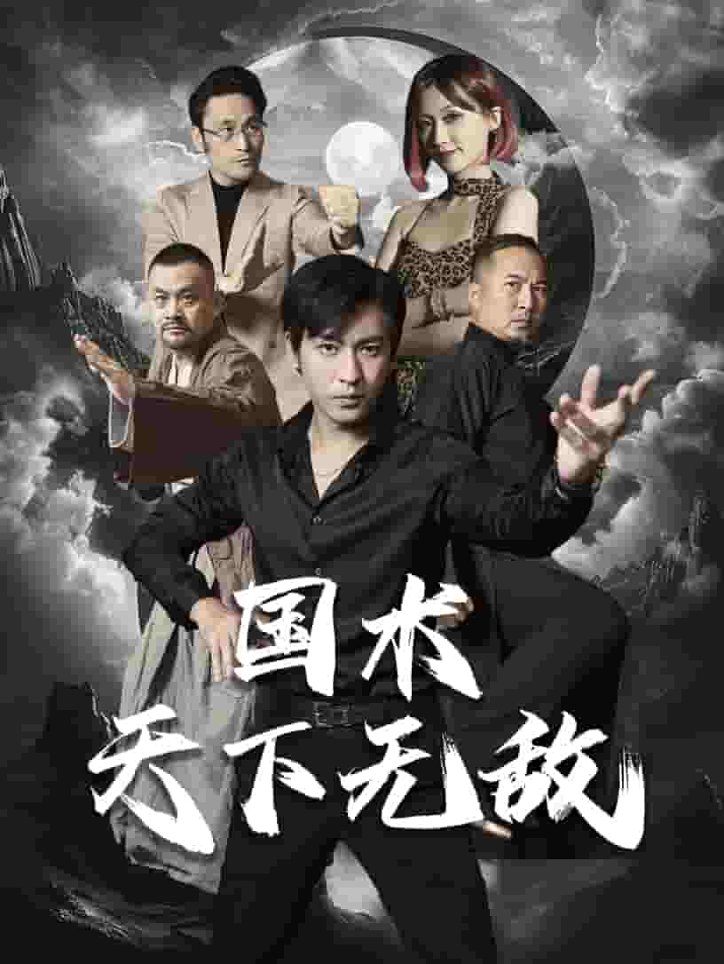 国术天下无敌(2024)海报