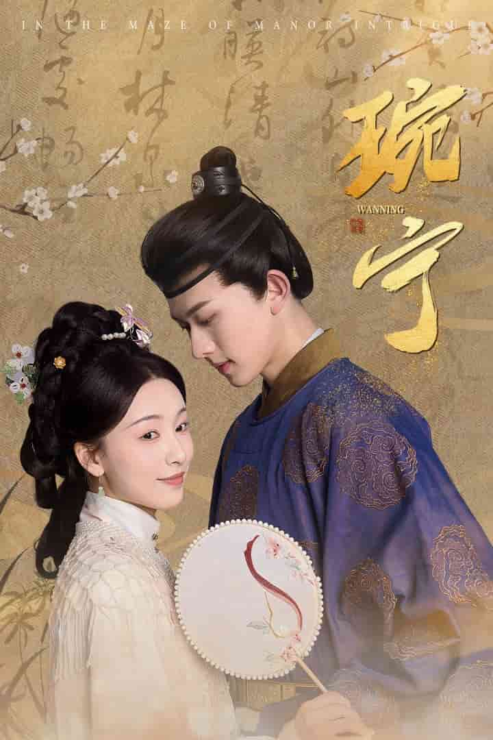 琬宁(2025)海报