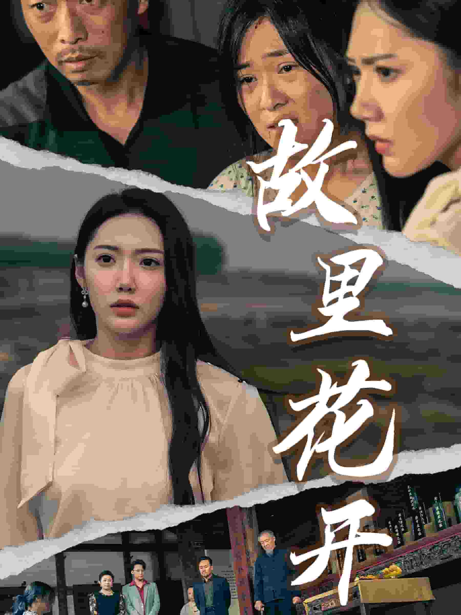 故里花开(2024)海报