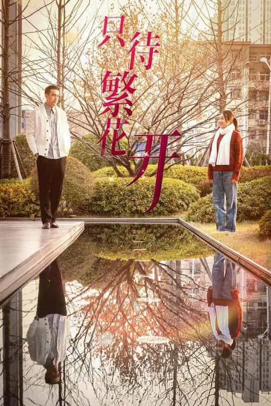 只待繁花开(2025)海报