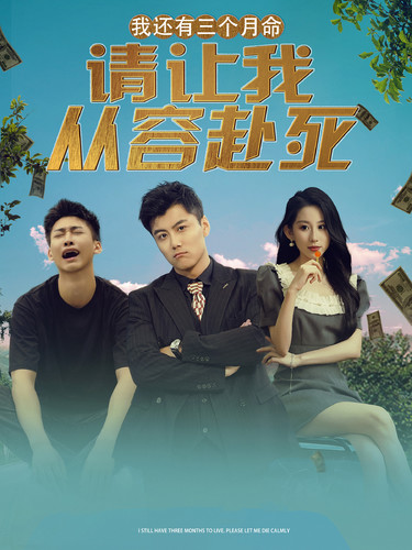 我還有三個月命,請讓我從容赴死(2024)海報