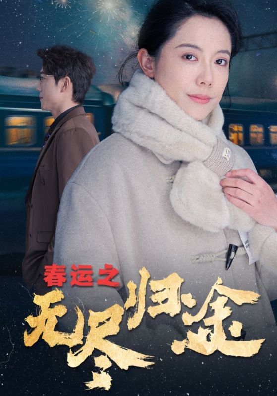 春运之无尽归途(2025)海报