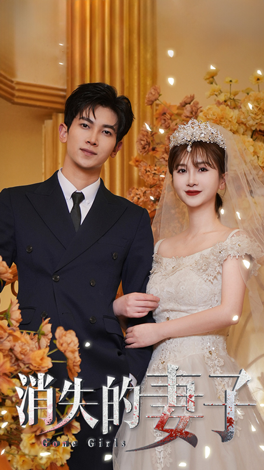新:消失的妻子(2024)海報