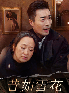 昔如雪花(2024)海報