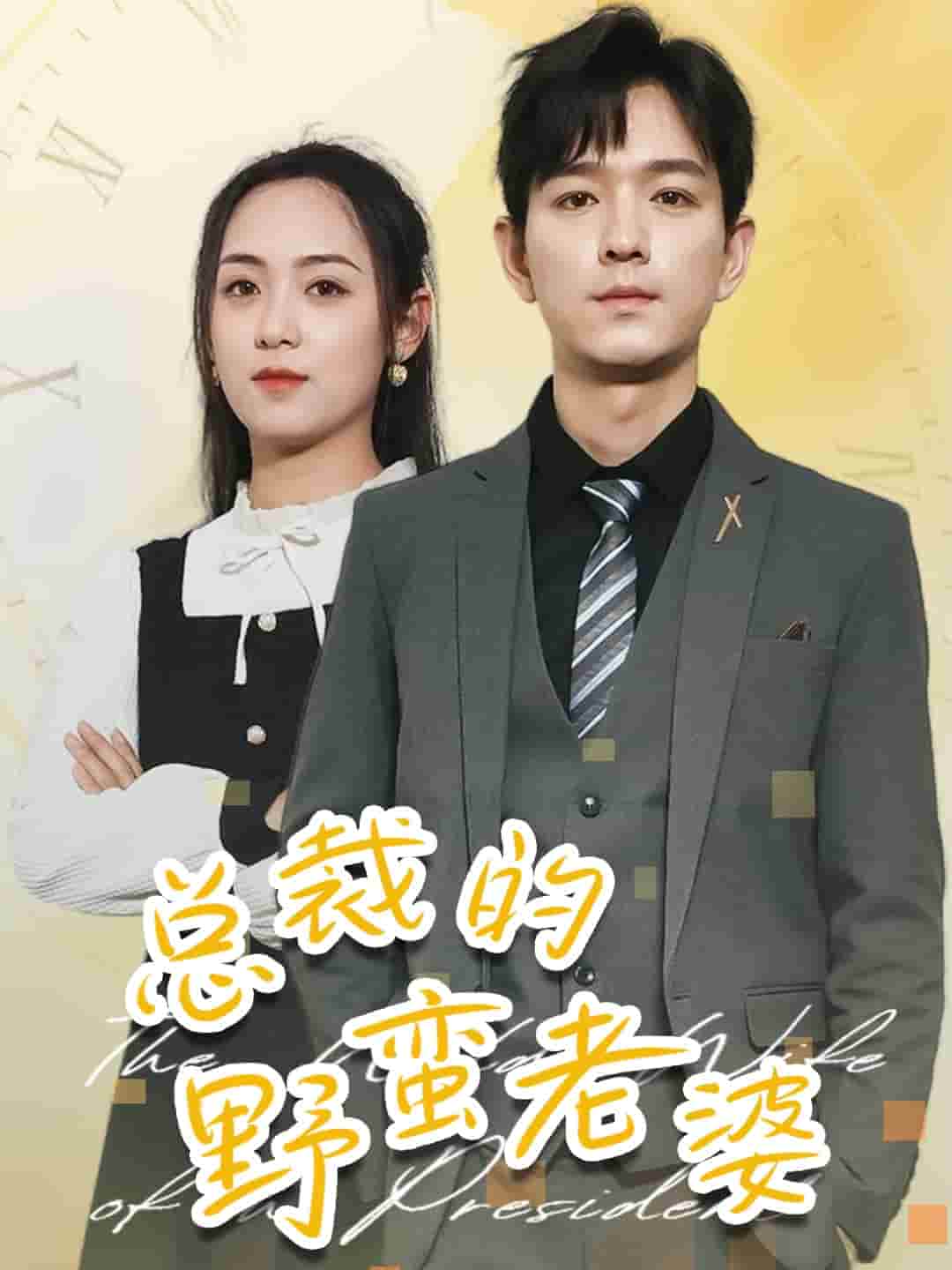 总裁的野蛮老婆(2024)海报