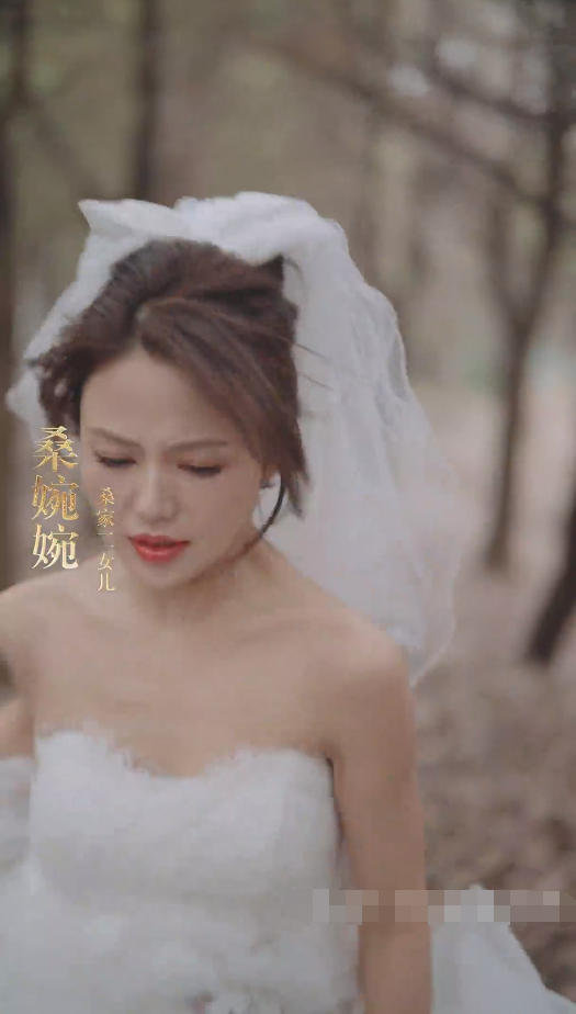 闪婚替嫁狼少夫人别太野(2024)海报