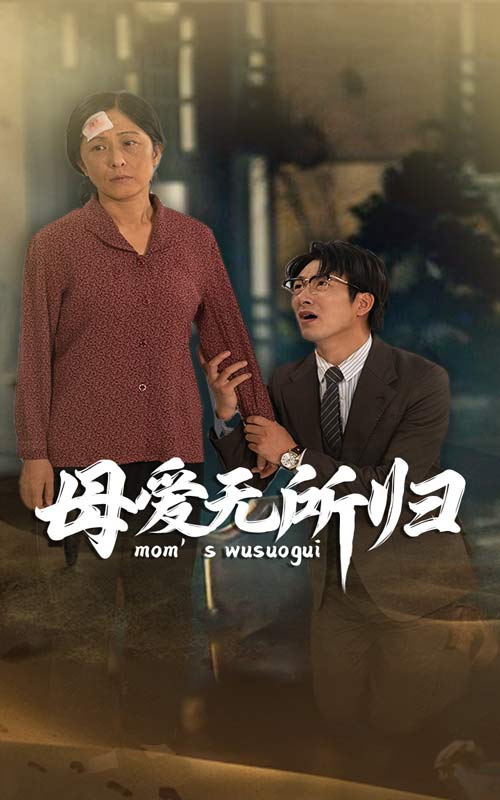 母愛無所歸(2024)海報