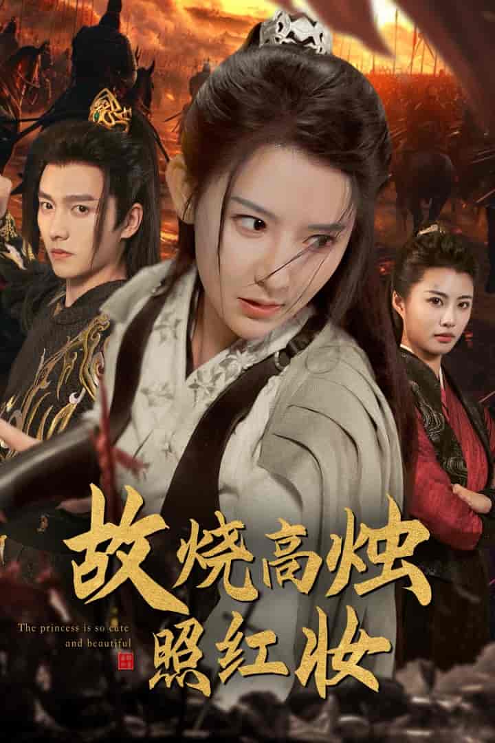 故燒高燭照紅妝(2024)海報