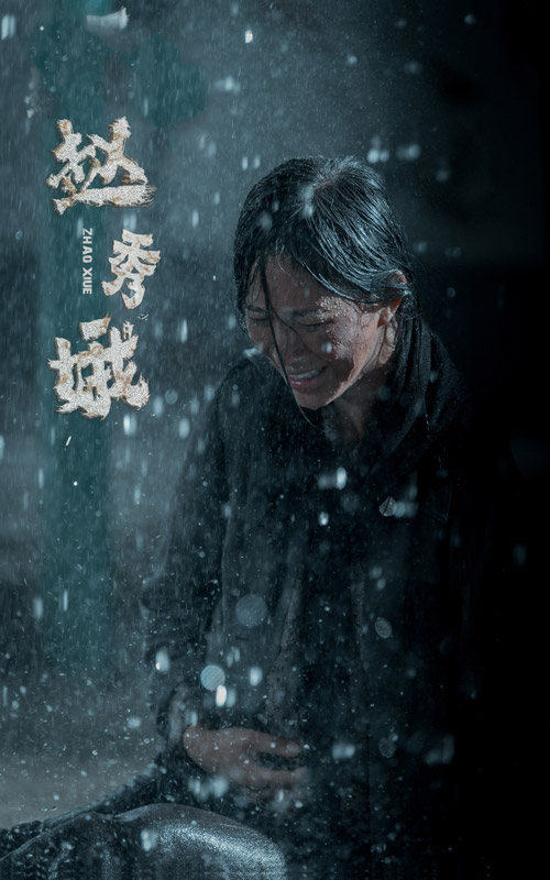 赵秀娥(2024)海报