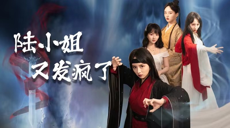 陸小姐又發瘋了(2024)海報