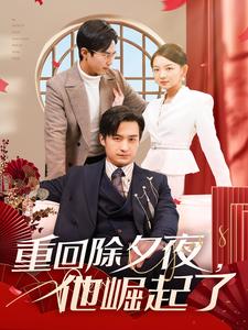 重回除夕夜他崛起了(2025)海报