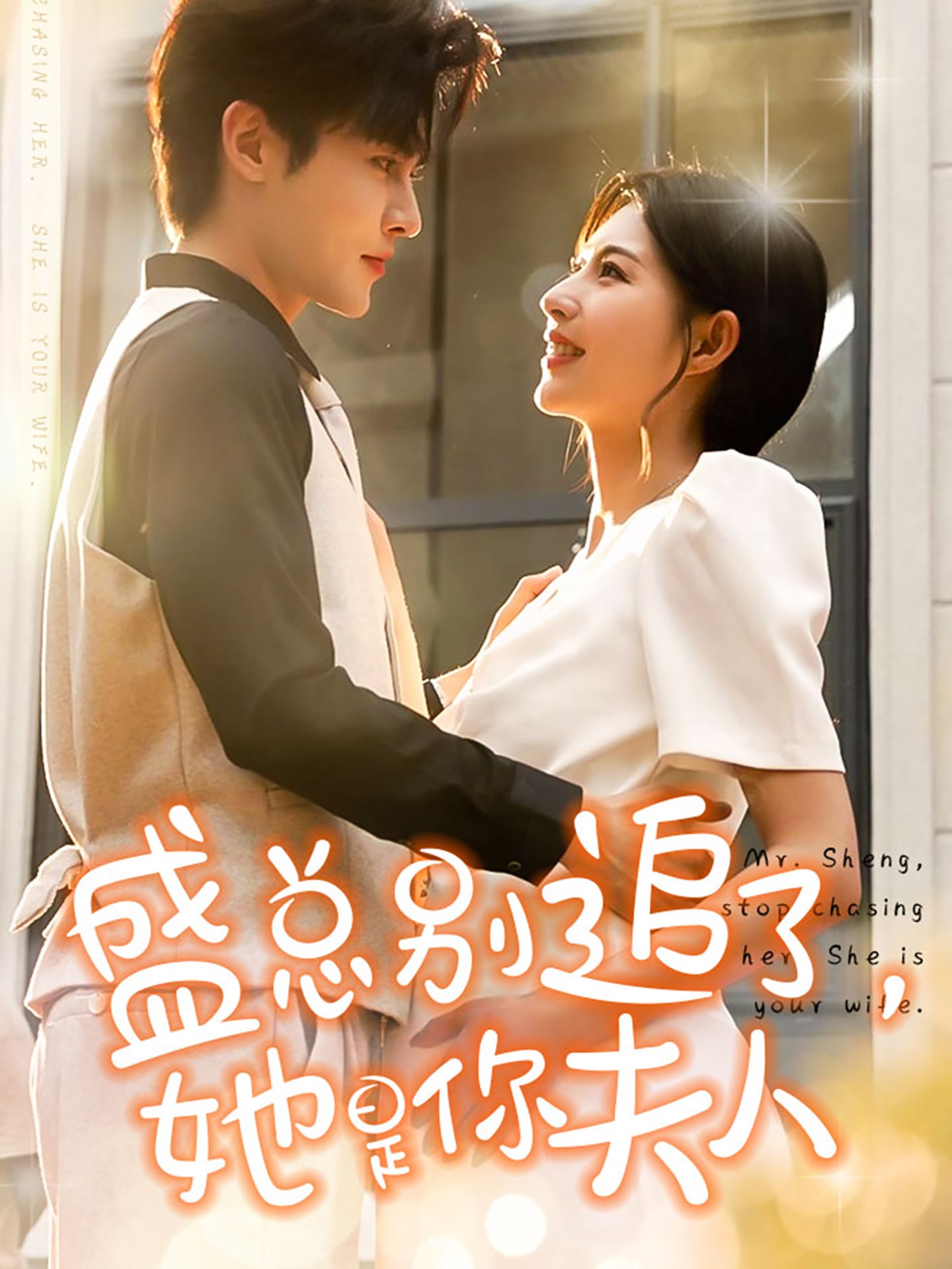 盛总别追了,她是你夫人(2024)海报