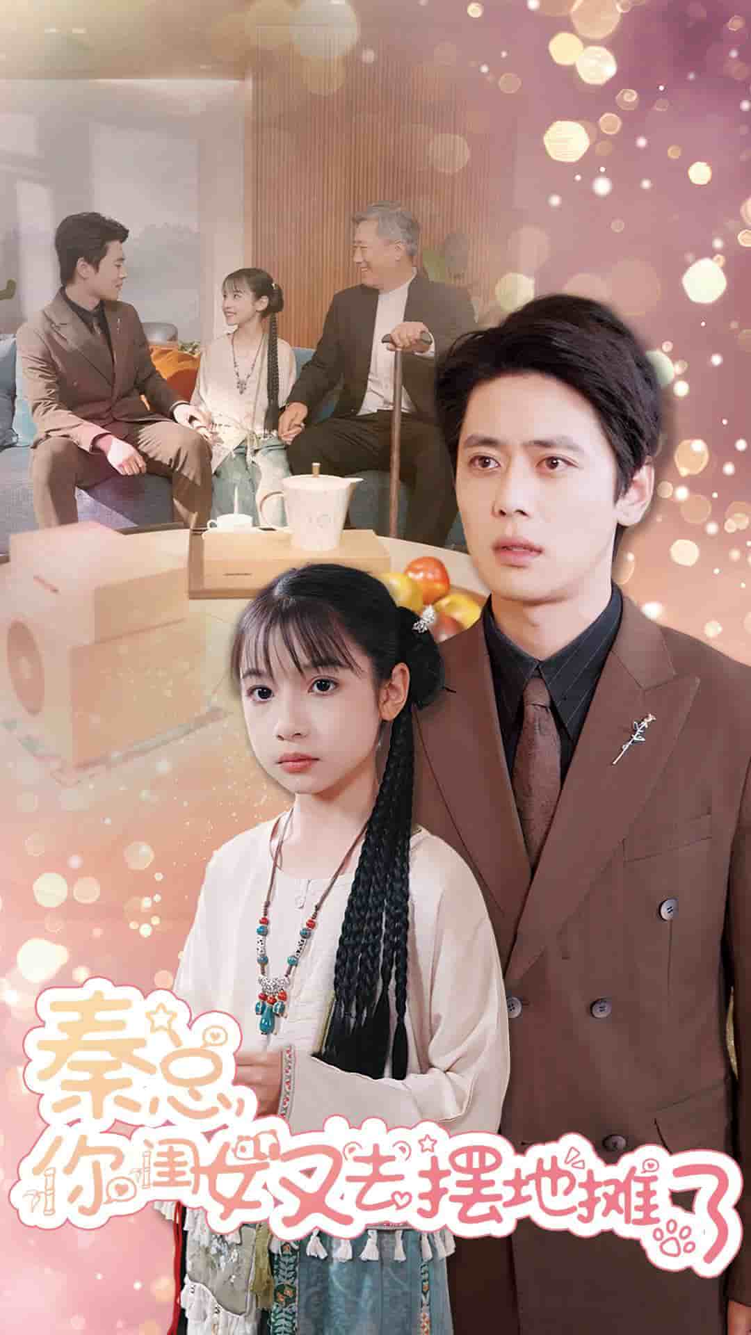 秦总你闺女又去摆地摊了(2025)海报