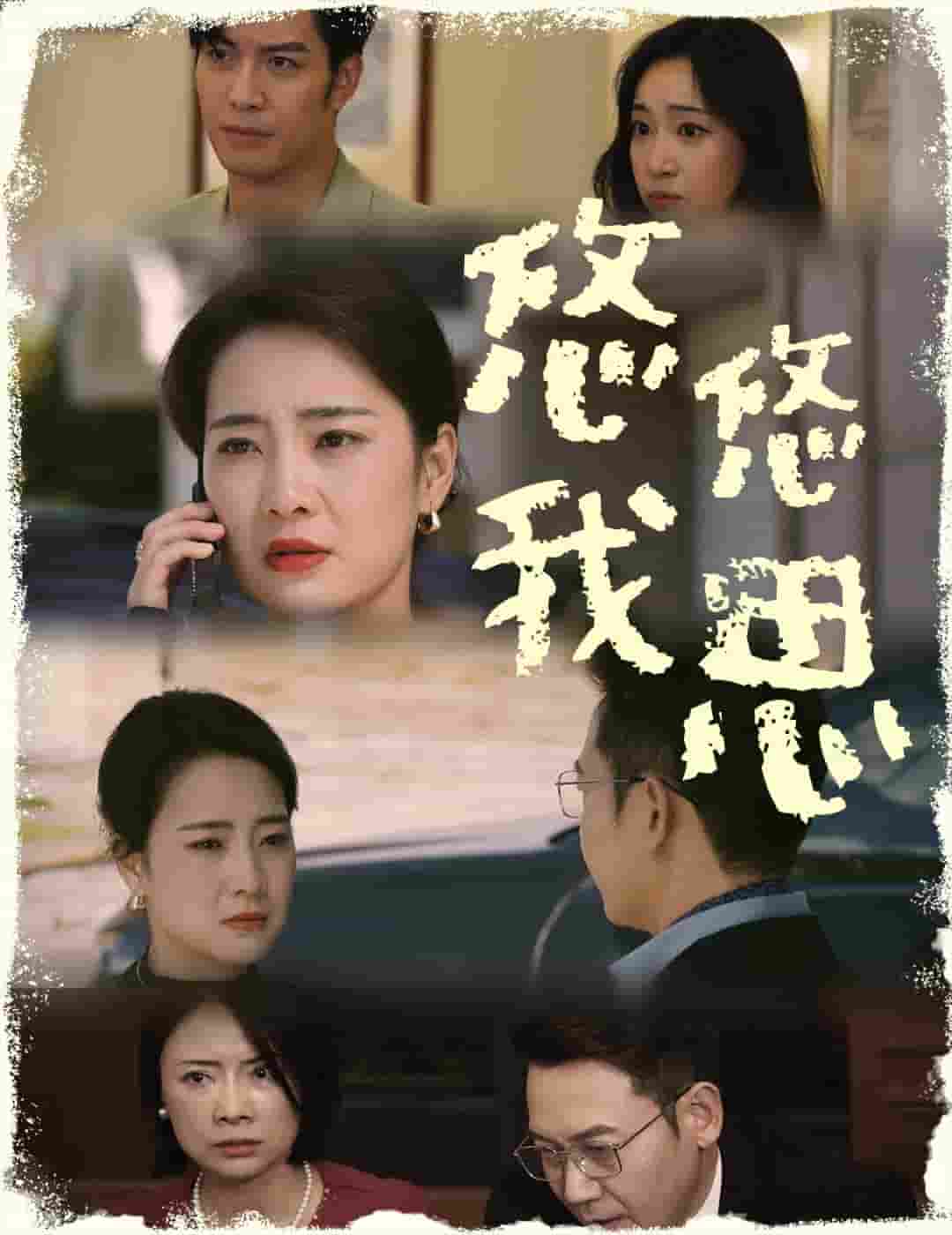 悠悠我思(2025)海報