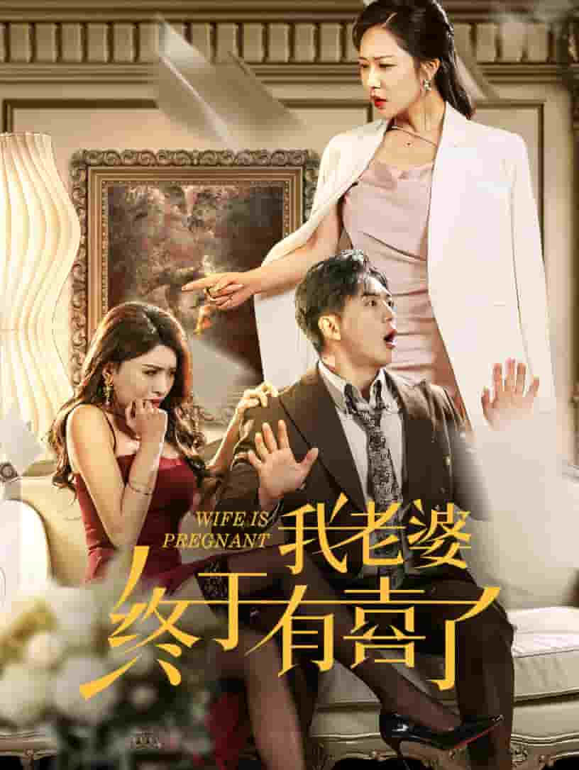 我老婆终于有喜了(2025)海报