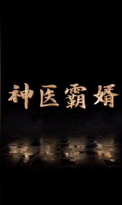 神医霸婿(2023)海报