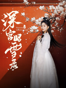 深宮昭雪錄(2025)海報
