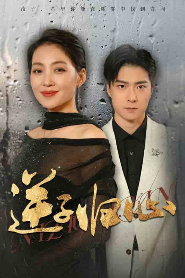 逆子归心(2024)海报