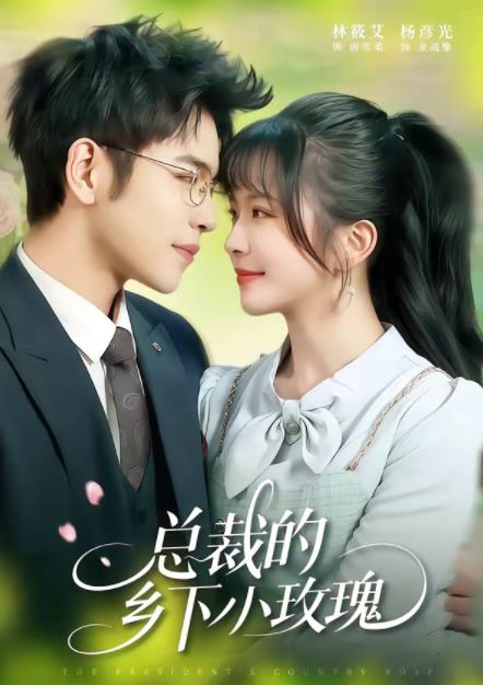 总裁的乡下小玫瑰(2026)海报