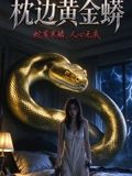 枕边黄金蟒(2026)海报