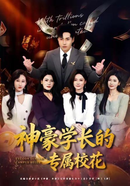 神豪学长的专属校花(2026)海报
