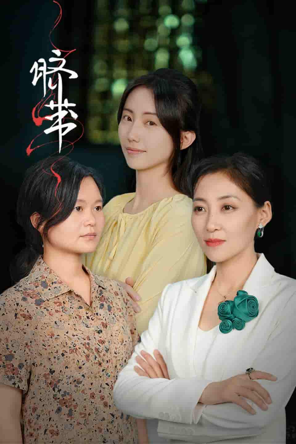 脐带 短剧版(2024)海报