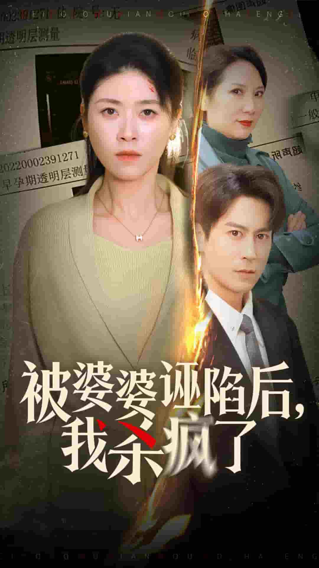 被婆婆诬陷后我杀疯了(2025)海报