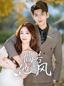 倘若他是风(2025)海报