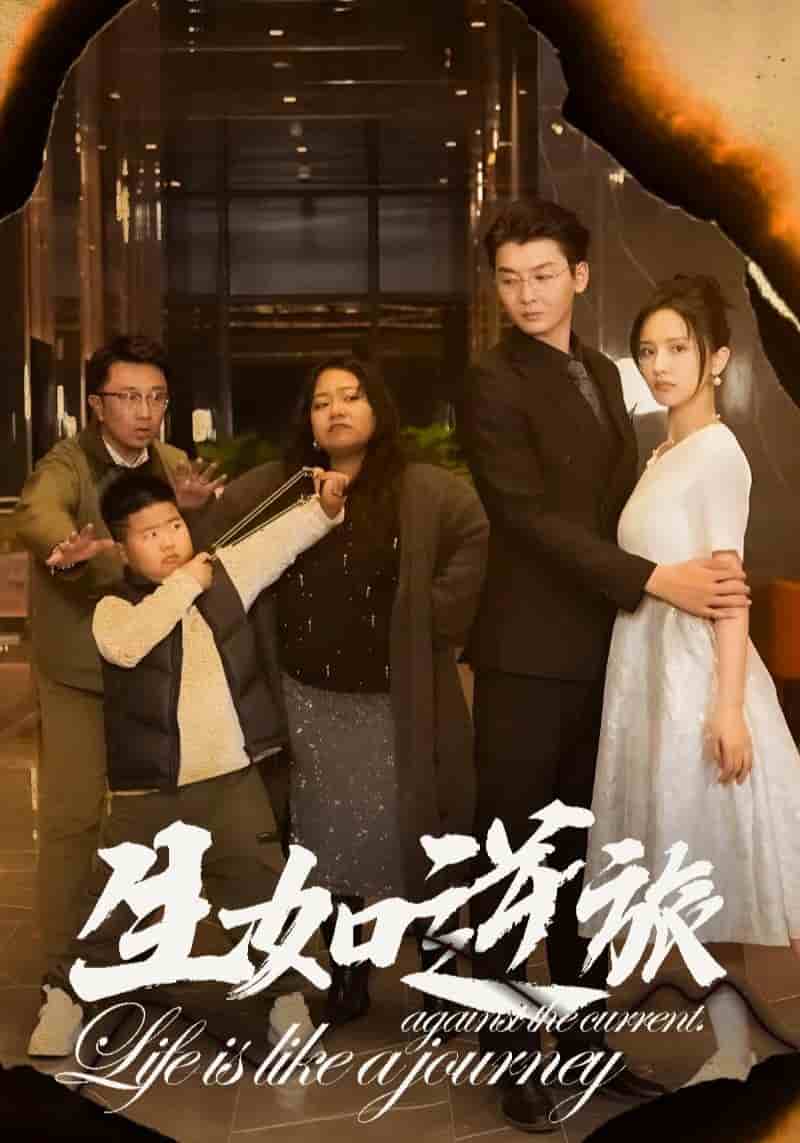 生如逆旅(2024)海報
